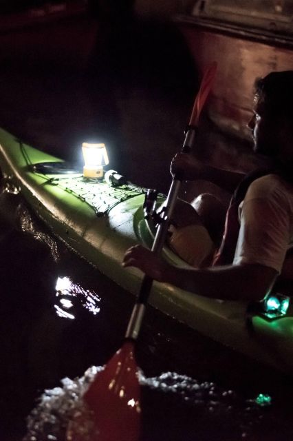2hr Night Kayak Tour in Venice: Premium Tour With Sunset - Activity Highlights
