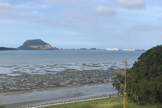 2hr Tauranga City Scenic History Tour - Meeting Point and Accessibility