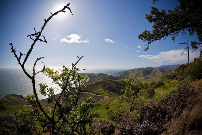 2hrs- Beyond the Bridge - Marin Headlands GoCar Tour - Meeting and End Points