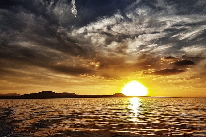 2hrs Dolphins Sunset Sailing Cruise With Drink - Guest Feedback and Reviews