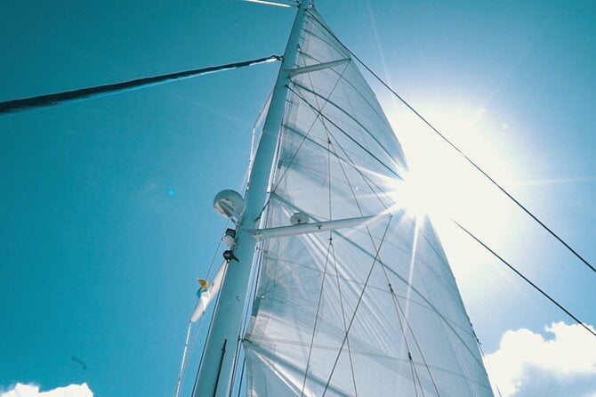 2hrs Dolphins Sunset Sailing Cruise With Drink - Onboard Refreshments
