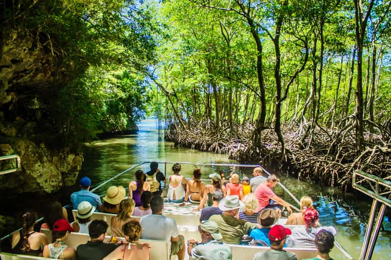 2in1: Los Haitises National Park + Yanigua Waterfall-SPA - Key Points
