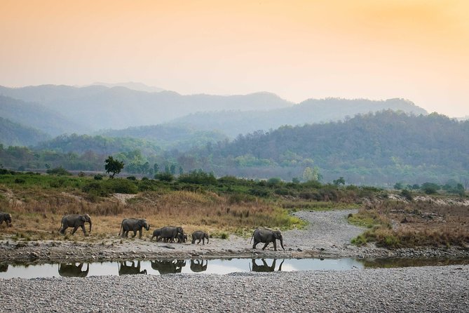 2N Jim Corbett National Park (Dhikala Zone) - Good To Know