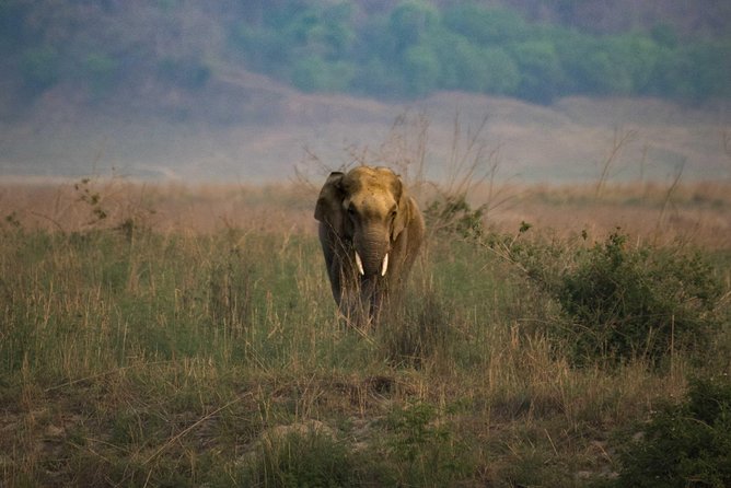 2N Jim Corbett National Park (Dhikala Zone) - Daily Itinerary