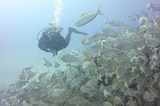 2x Diving Package, on Request Including Refreshment - Inclusions