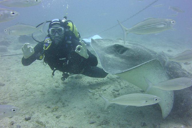 2x Diving Package, on Request Including Refreshment - Experience Details