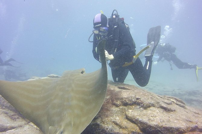 2x Diving Package, on Request Including Refreshment - Booking and Confirmation