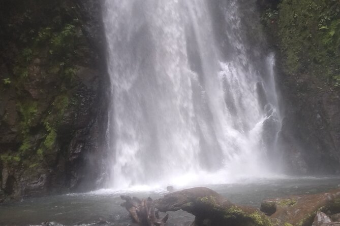 2x1 Guided Tour Combo Hanging Bridges and Night Walk - Highlights of Hanging Bridges