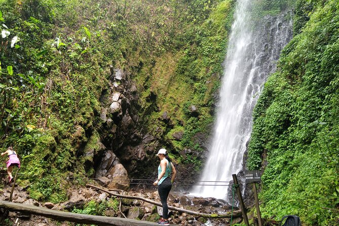 2x1 Guided Tour Combo Hanging Bridges and Night Walk - Exploring the Night Walk