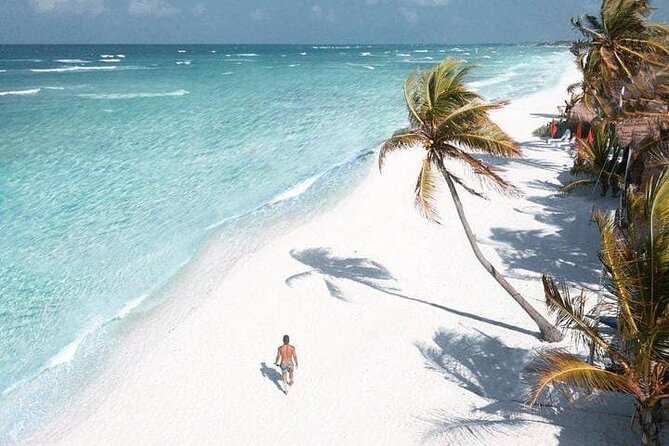 2x1 Tour: Contoy Island, Mujeres Island, Open Bar, Lunch and Transfers - Inclusions