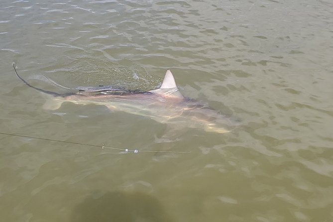 3/4 Day Fishing Charter Naples-Marco-Island-10,000-Islands-Everglades-Sanibel - Fishing Locations and Highlights