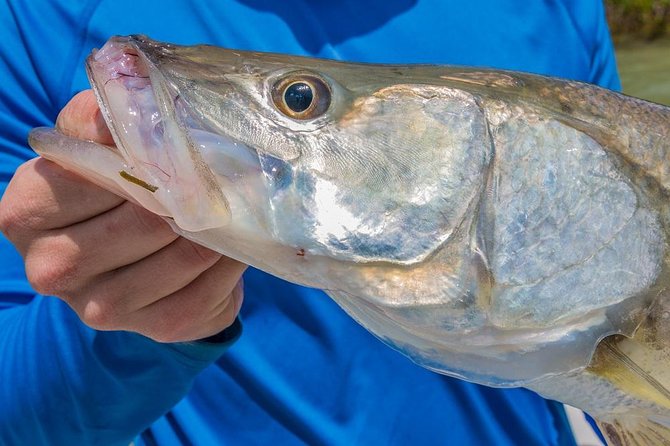 3/4 Day Private Fishing Trip Naples Bay, FL and the Gulf - Making the Most of Your Experience