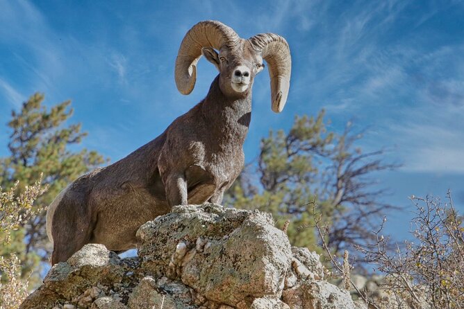 3/4 Day Rocky Mountain NP Mountain to Sky+Bear Lake Rd Tour - RMNPhotographer - Traveler Feedback