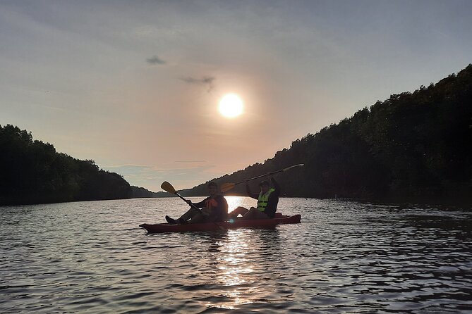 3-4 Hours Mangrove Kayaking Tour - Experience Highlights