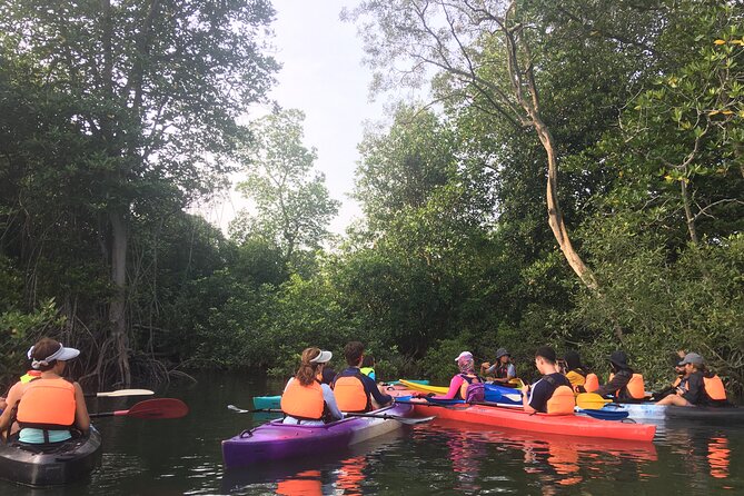 3-4 Hours Mangrove Kayaking Tour - Inclusions and Meeting Details