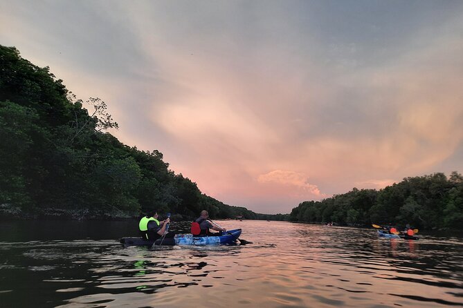 3-4 Hours Mangrove Kayaking Tour - Booking and Availability