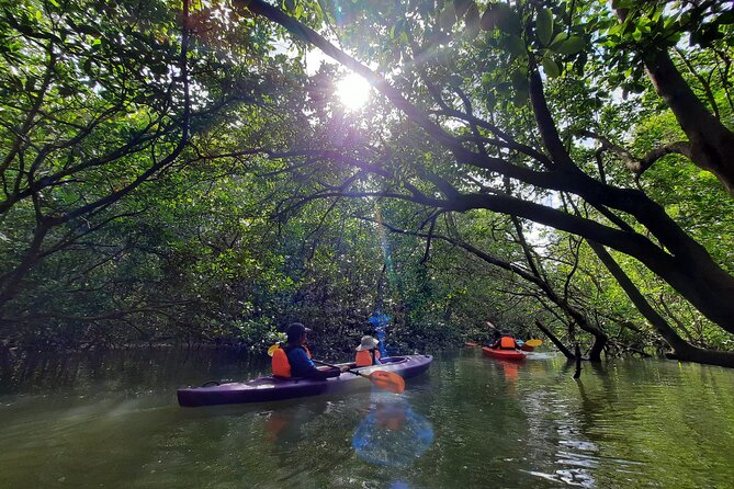3-4 Hours Mangrove Kayaking Tour - Mangrove Ecosystem Exploration