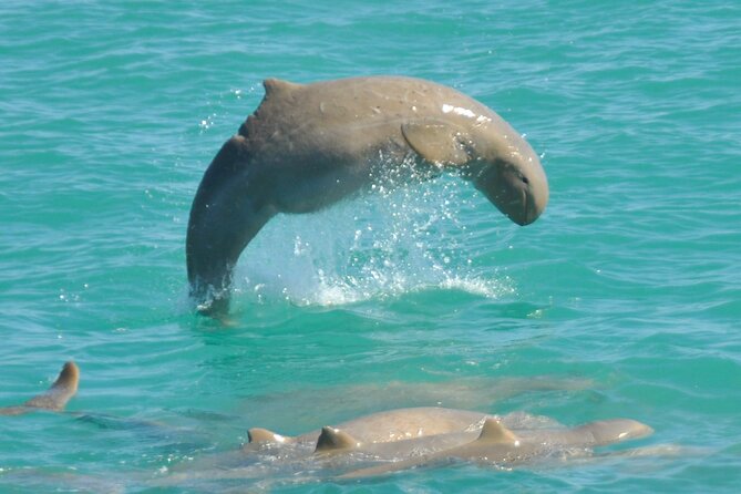 3.5 Hour Broome Sunset Cruise - Positive Customer Ratings and Reviews