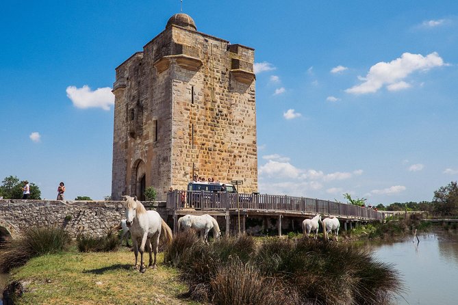 3.5 Hour Camargue 4x4 Safari From Le Grau-Du-Roi - Meeting and Pickup Location Details