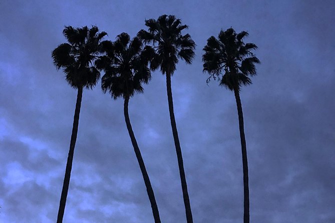 3.5 Hour Coastal Tour of Santa Monica, Venice Beach and Malibu - Malibus Coastal Gems