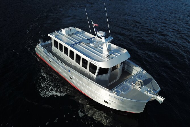 3.5 Hour Crowd-Skipping Whale Tour in Juneau Alaska - Pickup and Meeting Details