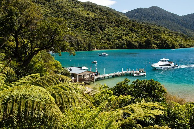3.5 Hour Marlborough Sounds Delivery Cruise - Meeting and Departure Details