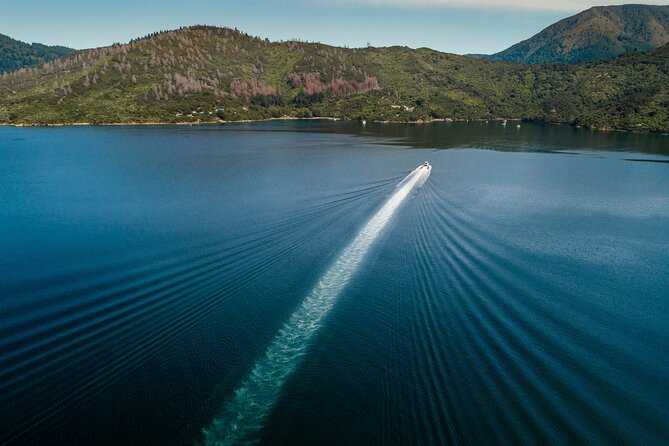 3.5 Hour Marlborough Sounds Delivery Cruise - Important Notes and Conditions