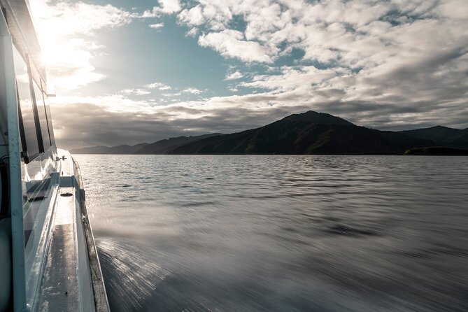3.5 Hour Marlborough Sounds Delivery Cruise - Exploring the Marlborough Sounds