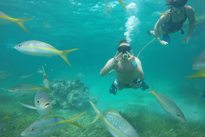 3 ADVENTURES: Sailing Catamaran Cruise - Hooka Diving - Snorkeling - Pricing and Cancellation