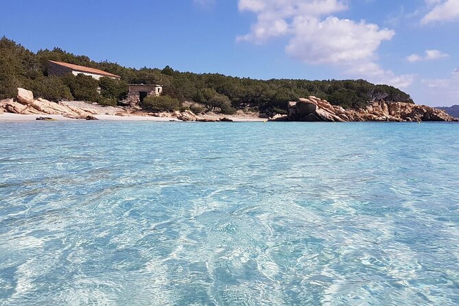 3-Catamaran From Cannigione to the Islands of the Archipelago - Traveler Reviews and Ratings