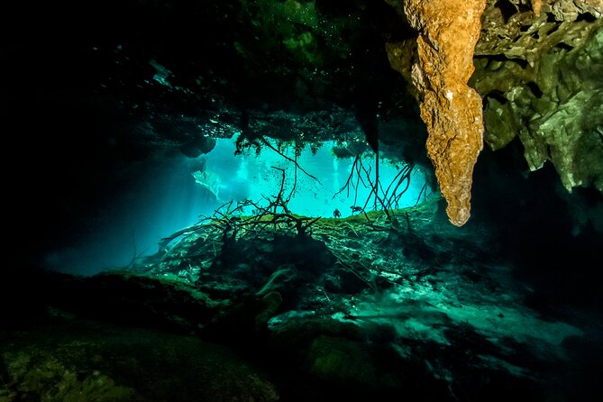 3 Cenote Dives - Casa & Dos Ojos - Included Equipment and Meals