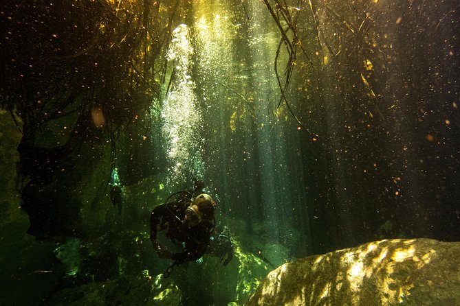 3 Cenote Dives - Casa & Dos Ojos - Health and Safety Considerations