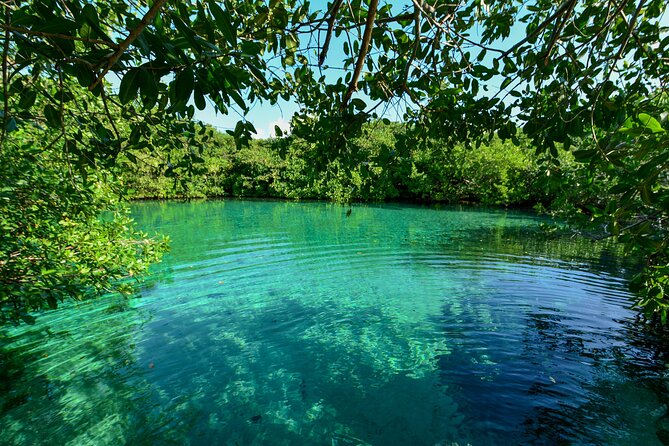 3 Cenote Dives - Casa & Dos Ojos - Booking Information