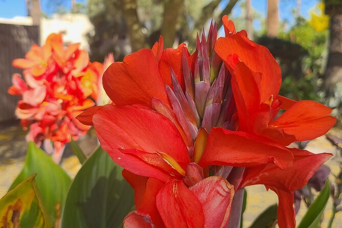 3 Cities & Nature Tour. Shop, Art, History, Food. Scottsdale, Phoenix, & Tempe. - Booking and Logistics