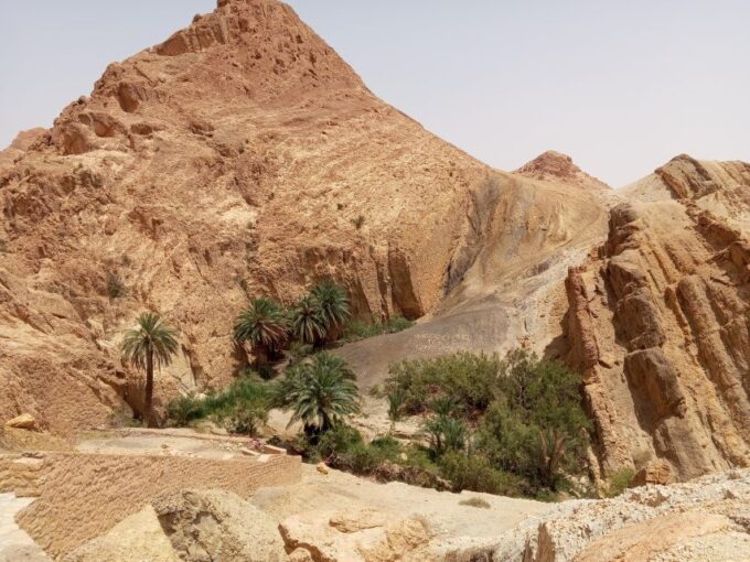 3 D Sahara Discovery - Booking Details and Discounts
