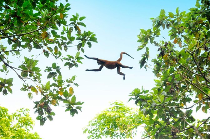 3 Day / 2 Night Tour in Tortuguero - Itinerary Breakdown