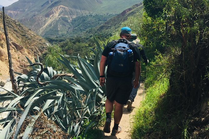3 Day 2 Night Trek / Colca Canyon - Wildlife and Scenery