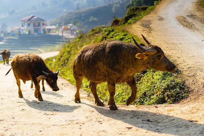 3 Day 2 Night Trek - Pricing and Group Size