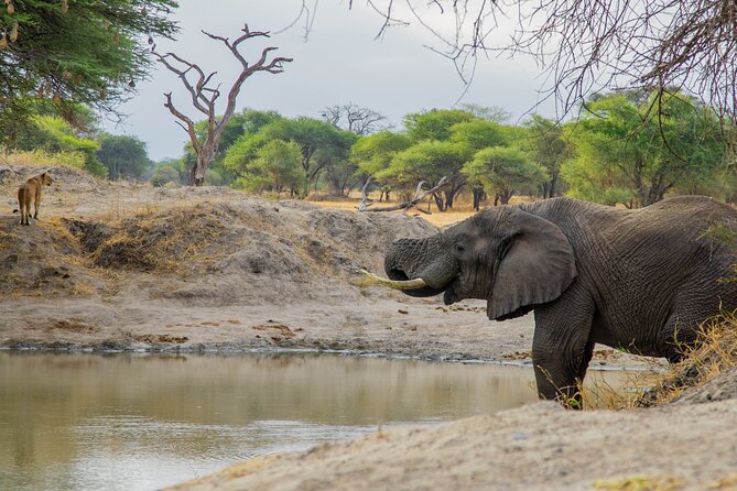 3-Day / 2 Nights Group Safari Serengeti & Ngorongoro Crater - Booking Information