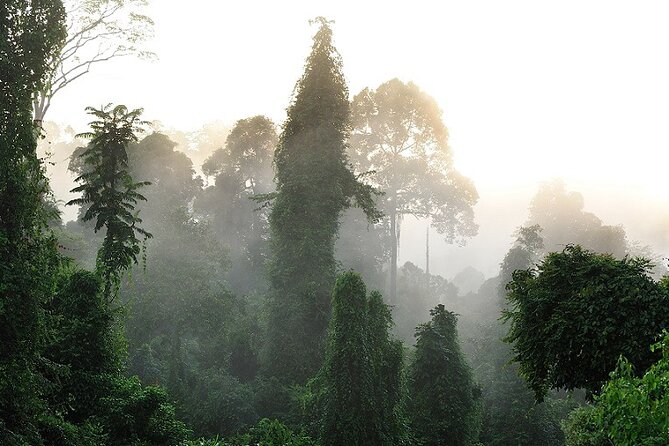 3-Day Adventure in Tabin Wildlife Reserve - Transportation Details