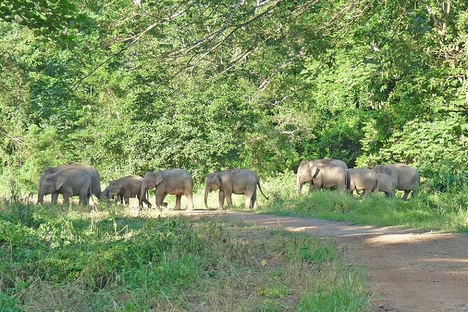 3-Day Adventure in Tabin Wildlife Reserve - Accommodations and Meals