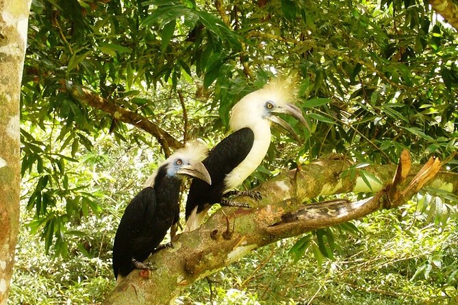 3-Day Adventure in Tabin Wildlife Reserve - Accessibility and Fitness