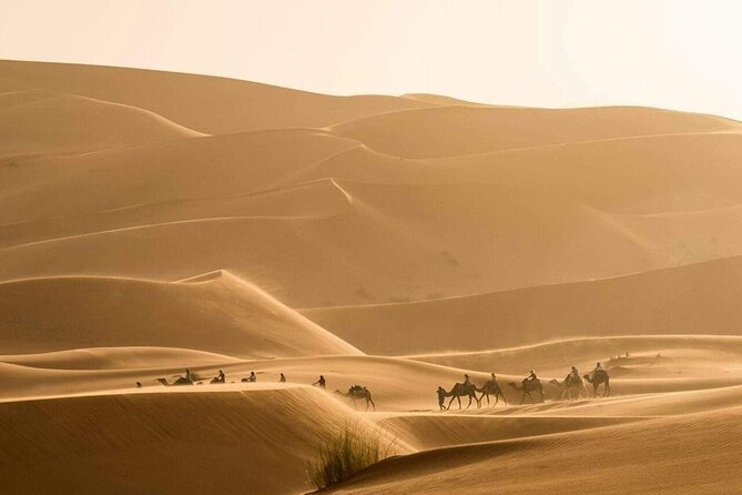 3-Day Adventure: Merzouga Desert, From Marrakech to Fez - Pickup and Meeting Point