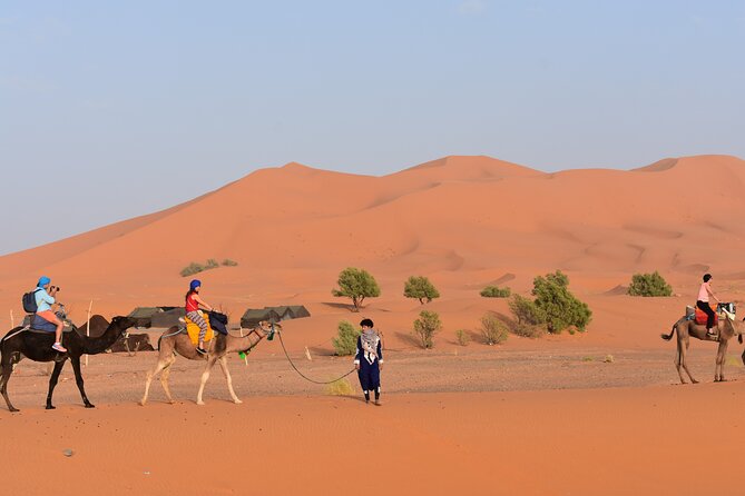 3-Day Adventure: Merzouga Desert, From Marrakech to Fez - Schedule and Accessibility