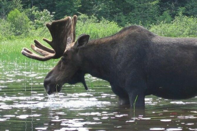 3-Day Algonquin Park Canoe Trip - An In-Depth Look at the 3-Day Algonquin Park Canoe Trip