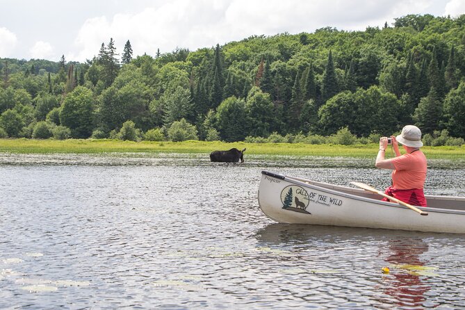 3-Day Algonquin Park Canoe Trip - Setting up Camp
