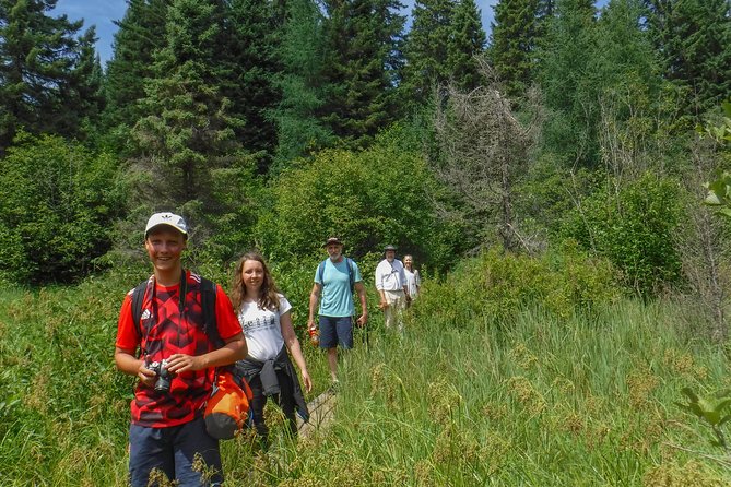 3 Day Algonquin Park Canoe Trip - Moose & Beaver Safari - Outdoor Activities and Equipment