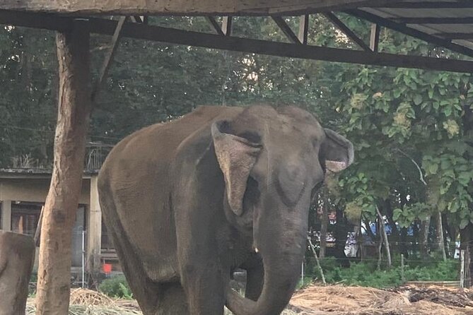 3-Day All Inclusive Chitwan Jungle Safari Tour From Kathmandu - Inclusions