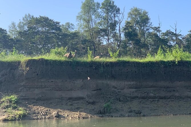 3-Day All Inclusive Chitwan Jungle Safari Tour From Kathmandu - Accommodation Details