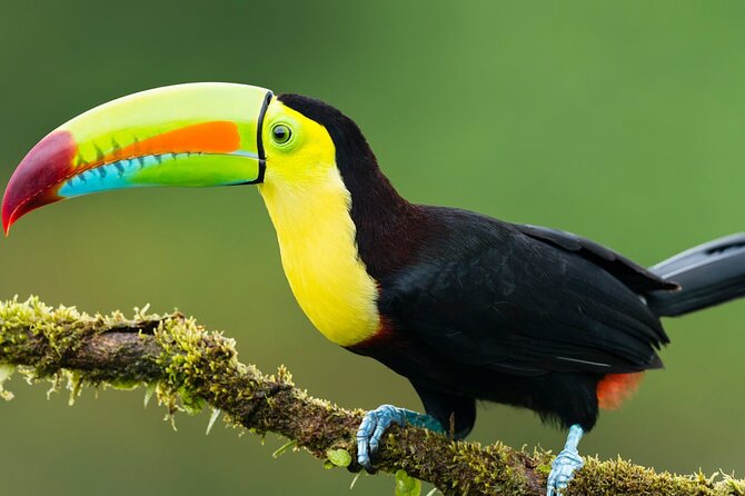 3-Day All Inclusive Guided Jungle Tour From Iquitos at Maniti Eco-Lodge - Meeting Point and Schedule
